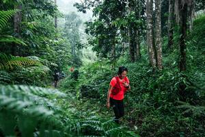 BIB: 
                            <button type="button" onclick="openModal(26359228)" class="btn btn-primary btn-sm float-right btn-popup" data-toggle="modal" data-target=".modal-high-quality">
                        <i class="fas fa-shopping-cart"></i> Add to Cart
                    </button>
                                            <button type="button" onclick="isThisMe(26359228, true)" class="btn btn-success btn-sm float-right btn-popup btn-isme hidden" data-toggle="tooltip" data-placement="bottom" title="นี่คือรูปของคุณใช่ไหม คลิกที่นี่เพื่อเอาเข้าอัลบั้ม">
                        <i class="fas fa-plus"></i> Add to album
                    </button>
                    <button type="button" onclick="isThisMe(26359228, false)" class="btn btn-warning btn-sm float-right btn-popup btn-isnotme hidden">
                        <i class="fas fa-ban"></i> Remove from album
                    </button>